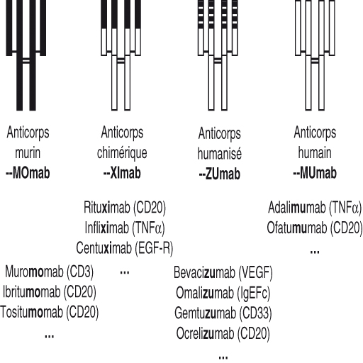 Bioth Rapies Et Th Rapies Cibl Es